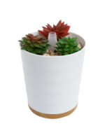 Aromar Difusor Planta 100ml Bajo